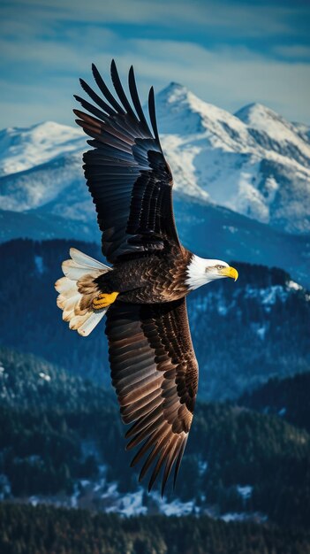 Amerikanischer Glatzkopfadler im Hintergrund der Natur