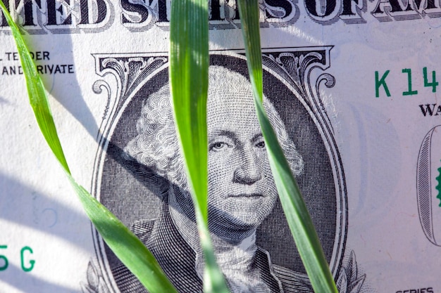 Amerikanisches Geld in einem landwirtschaftlichen Bereich