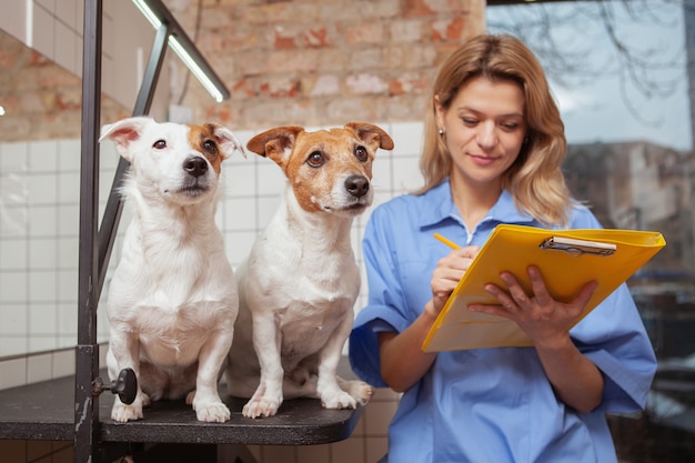 Una amigable veterinaria que trabaja en su clínica