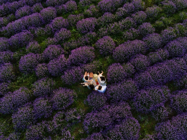 Amigas fazendo piquenique e tilintando copos com vinho no campo de lavanda