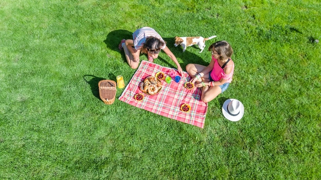 Amigas con perro haciendo un picnic en el parque, niñas sentadas en el césped y comiendo comidas saludables al aire libre, vista aérea desde arriba