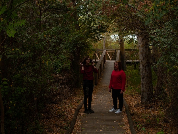 Amigas de pie en medio de los árboles en el bosque