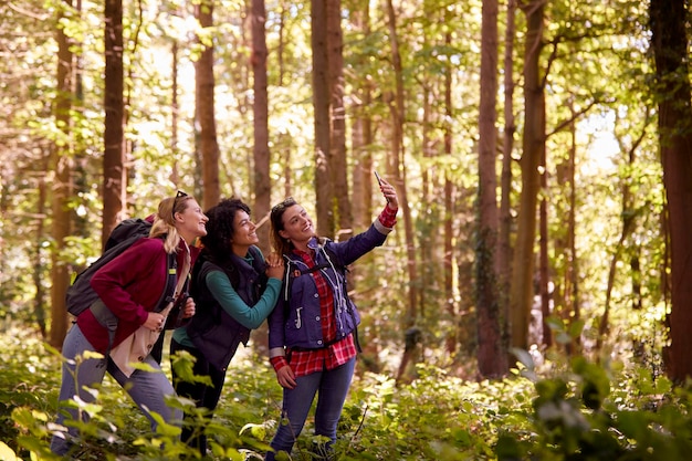 Amigas posando para Selfie en teléfono móvil en caminata de vacaciones a través de bosques juntos
