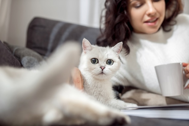 Amigos. a dona do animal de estimação parece feliz enquanto passa o tempo com seu gato