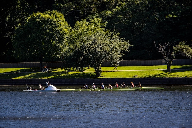 Amigos a remar num barco no rio