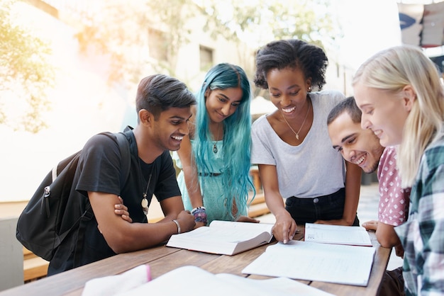 Amigos alegres a estudar no campus.