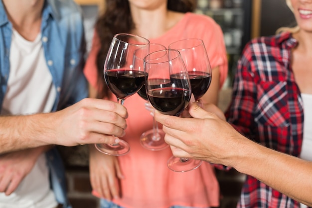 Amigos brindando con vino