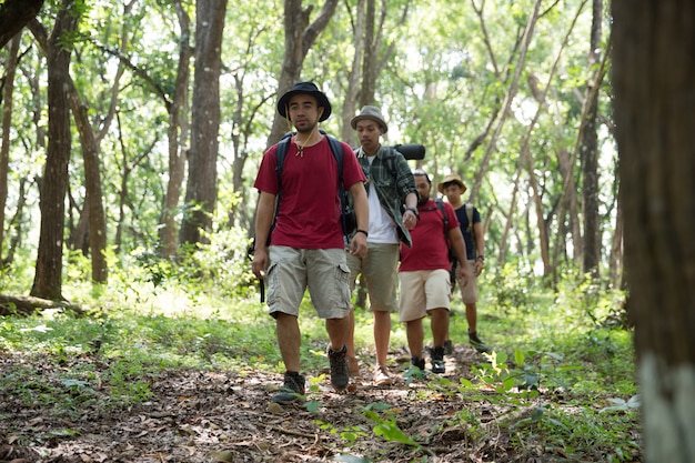 Amigos caminando en actividades de verano al aire libre