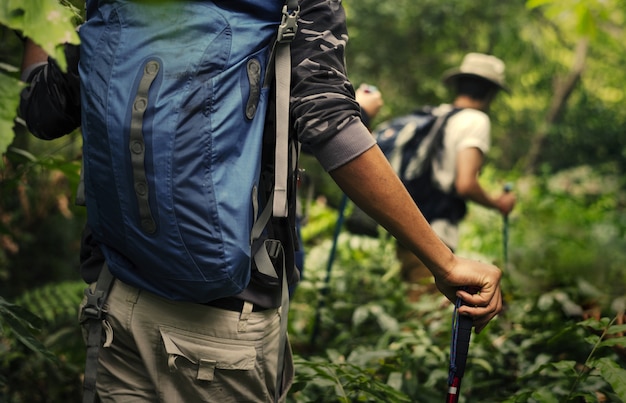 Foto amigos caminando por un bosque