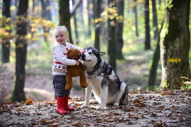 Amigos criança e husky brincam ao ar livre na floresta ao ar livre Amigos menina e cachorro brincam na floresta de outono