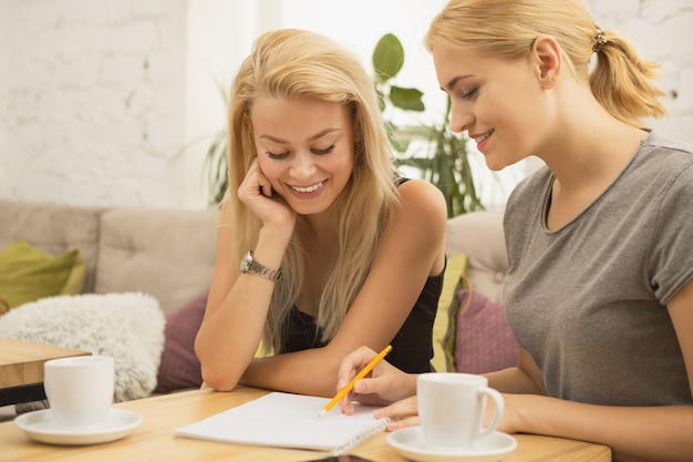 Amigos do sexo feminino no café