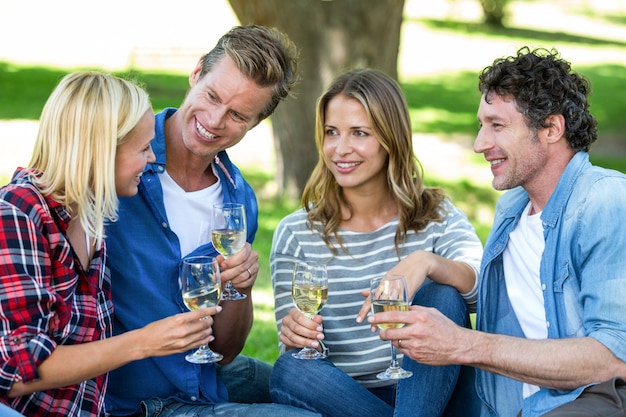 Amigos fazendo um piquenique com vinho