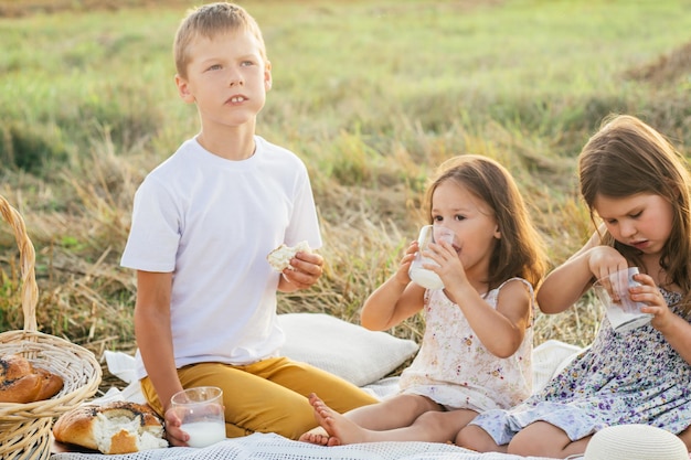 Amigos felizes comem pães frescos e bebem leite sentado no cobertor no campo Retrato de crianças descansando na grama
