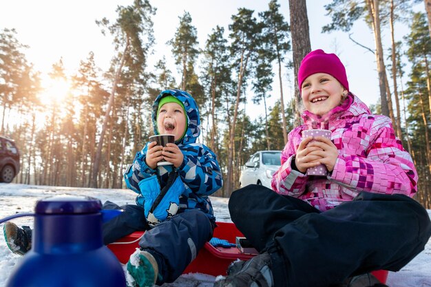 Foto amigos felizes sentados na neve contra as árvores durante o inverno