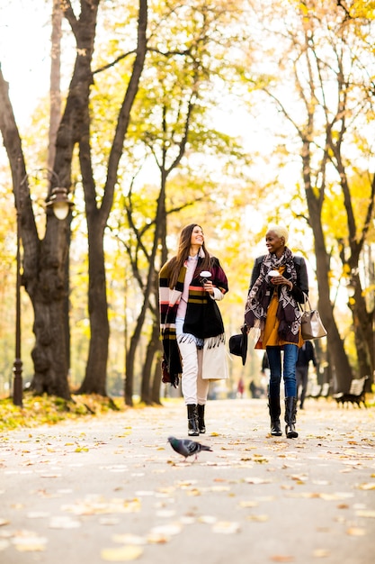 Amigos femeninos multirraciales que caminan en el parque del otoño