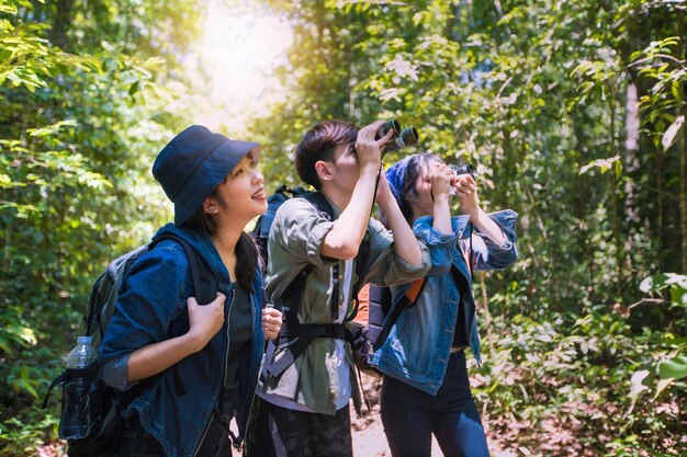 Foto amigos fotografiando mientras están de pie contra los árboles en el bosque