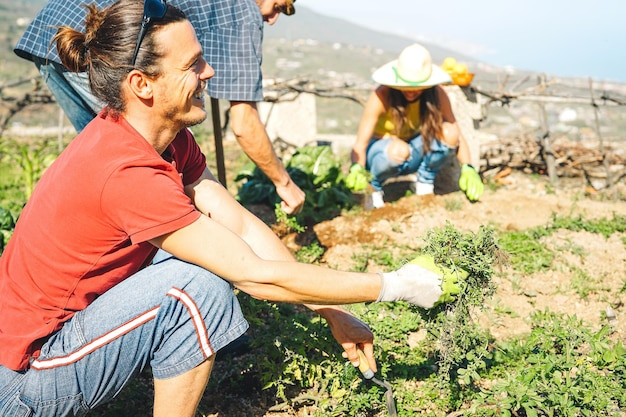Amigos jardinagem de vegetais na fazenda durante o dia ensolarado