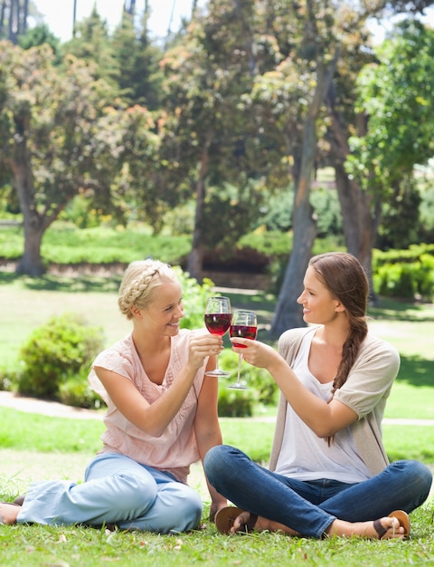 Los amigos tintinean vasos de vino en el parque