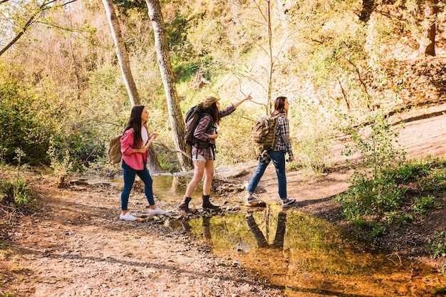 Amigos, viajando, em, floresta