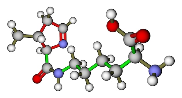 Aminosäurepyrrolysin 3D-Molekülstruktur