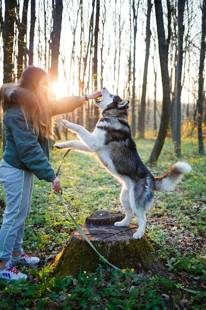 Amistad entre el hombre y el animal.