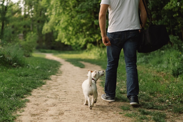 Amistad hombre y perro. El hombre juega perros Jack Russell Terrier en la pradera.