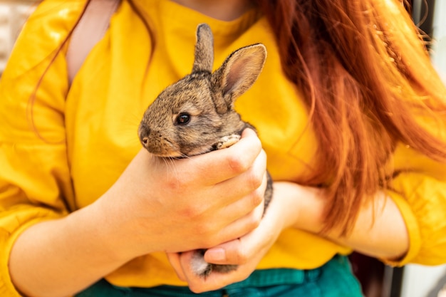 Amizade com o coelhinho da páscoa