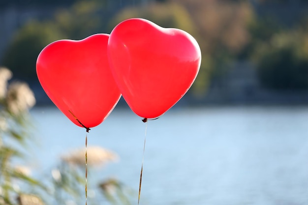 Amo balões de coração, ao ar livre