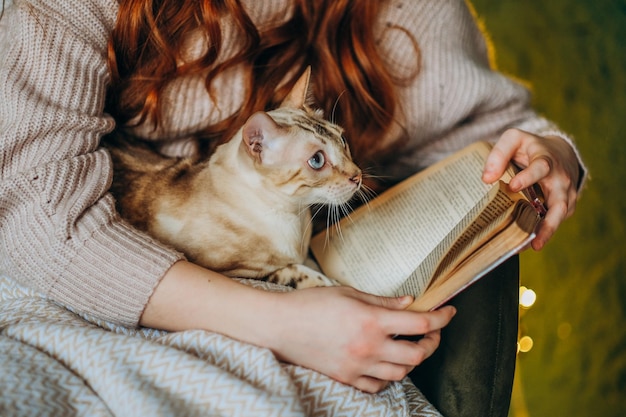 Amor por los gatos Una mujer se sienta en una silla en casa y sostiene a su amado gato de Bengala en sus brazos