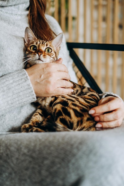 Foto amor por los gatos una mujer se sienta en una silla en casa y sostiene a su amado gato de bengala en sus brazos