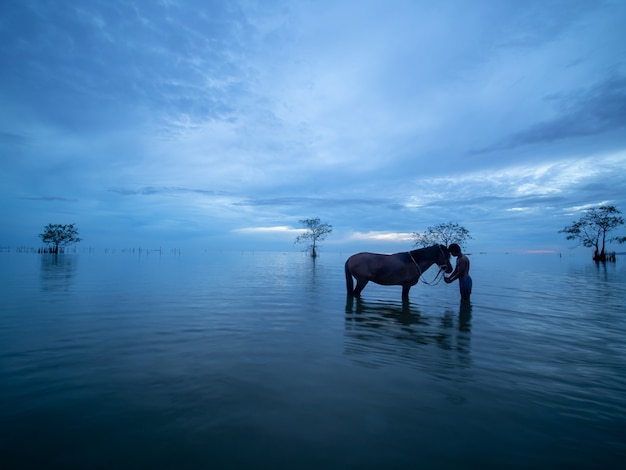 amor entre niño y caballo