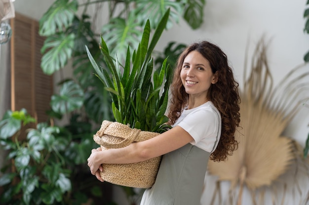 Amor por las plantas mujer feliz sostener olla con planta de interior sansevieria sonriendo en el jardín interior en casa