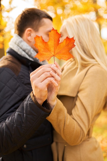 El amor, la relación, la familia y el concepto de la gente: cerca de una pareja con un beso de hoja de arce en el parque de otoño