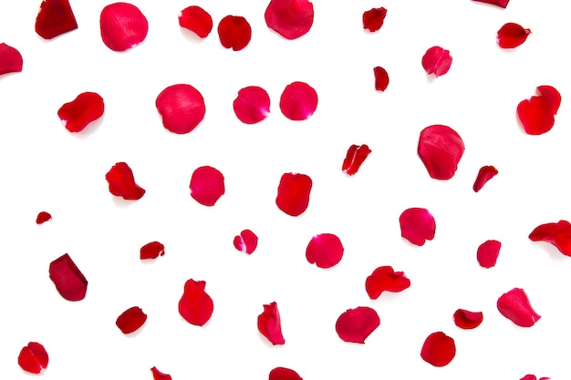 Foto amor, romance, dia dos namorados e conceito de feriados - close-up de pétalas de rosa vermelha
