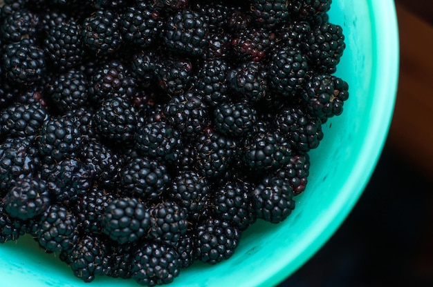 Amoras pretas maduras em um prato de plástico verde