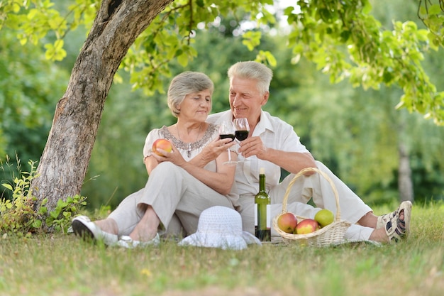 Amorosa pareja de ancianos pasar tiempo juntos al aire libre