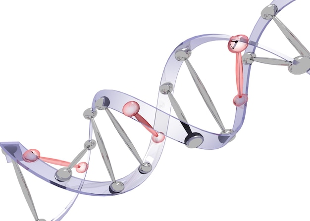 Amostra de DNA