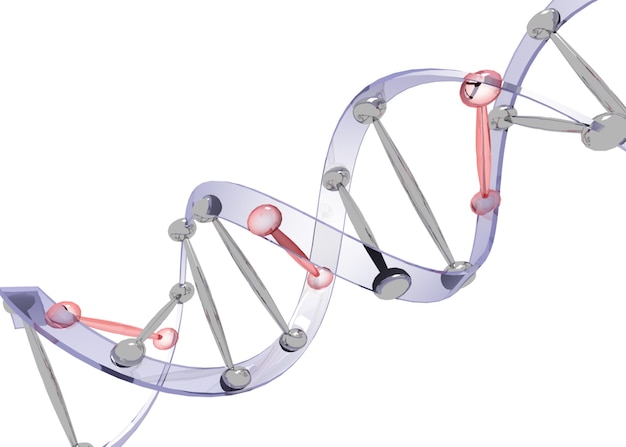 Amostra de dna