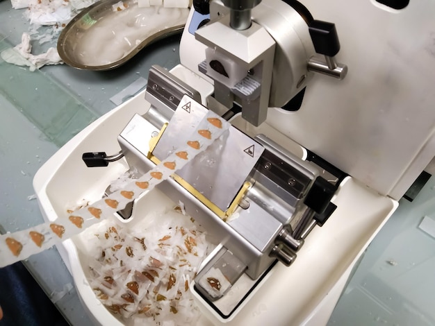 Amostra histológica e preparação de uma biópsia usando Microtome in Lab.