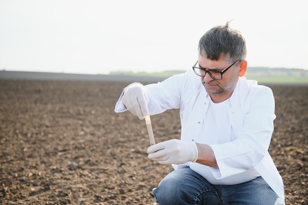 Amostragem de solo Agrônomo coletando amostra com amostrador de sonda de solo Pesquisa de certificação de solo orgânico de proteção ambiental