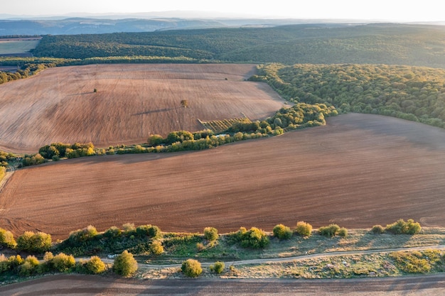Amplia vista aérea desde el dron hasta el campo con campos agrícolas