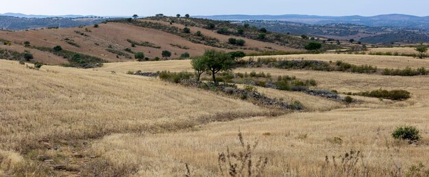 Amplia vista de tierras de cultivo de campo seco en la región del Algarve Portugal