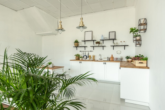 Amplio apartamento tipo estudio decorado con madera y blanco. Diseño minimalista con enormes ventanales a la luz del sol. área de cocina y sala de estar