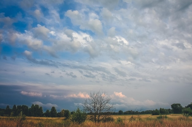 Amplio cielo azul sobre la foto del paisaje de la zona rural