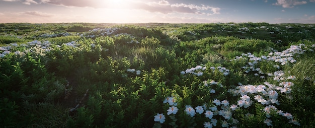 Amplio paisaje de hierba fresca en la hermosa luz de la mañana. Representación 3D.