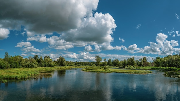 Un amplio panorama del hermoso paisaje natural.