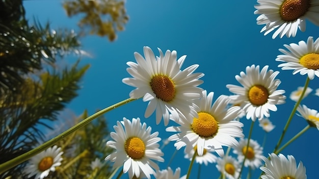 Amplo ângulo de aproximação de margaridas de baixo Flor entre ervas daninhas Generative Ai