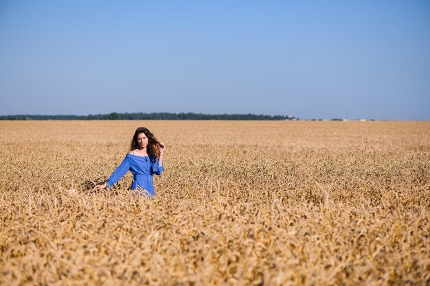 Amplo campo de trigo dourado com morena coutryside andando em vestido azul vintage paisagem natural com colheita de cereais e céu azul