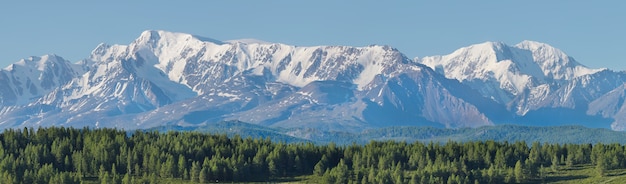 Amplo panorama do cume. Floresta e picos cobertos de neve, manhã de verão