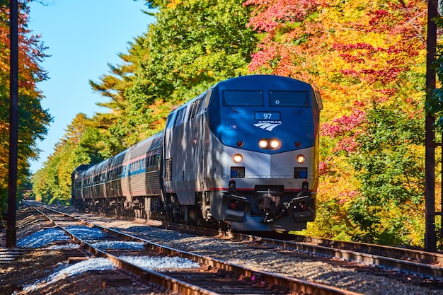 Amtrak-Zug, der während des Herbstlaubs in Maine durch den Wald fährt